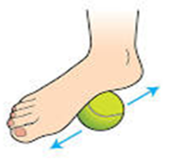 tennis ball roll