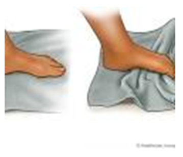 towel scrunches
